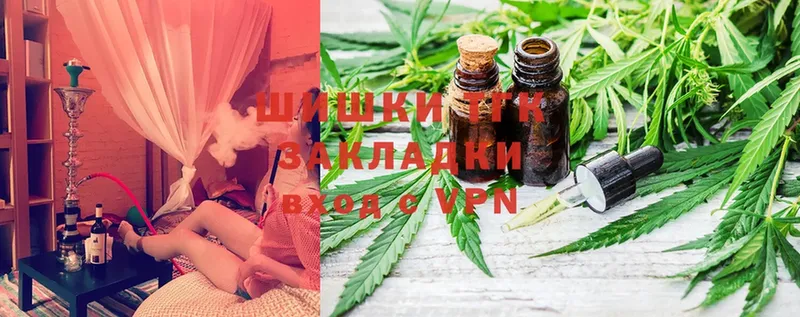 купить закладку  Дубна  Канабис SATIVA & INDICA 